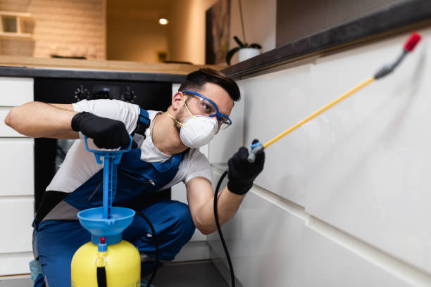 Best Emergency Pest Control  in White Oak, MD
