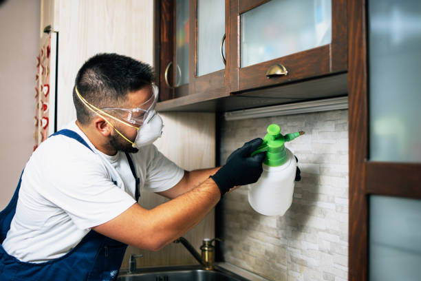 Best Commercial Pest Control Services  in White Oak, MD