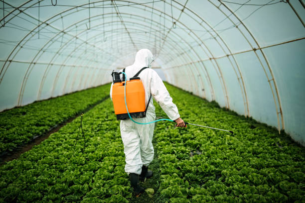 Best Pest Removal Services  in White Oak, MD