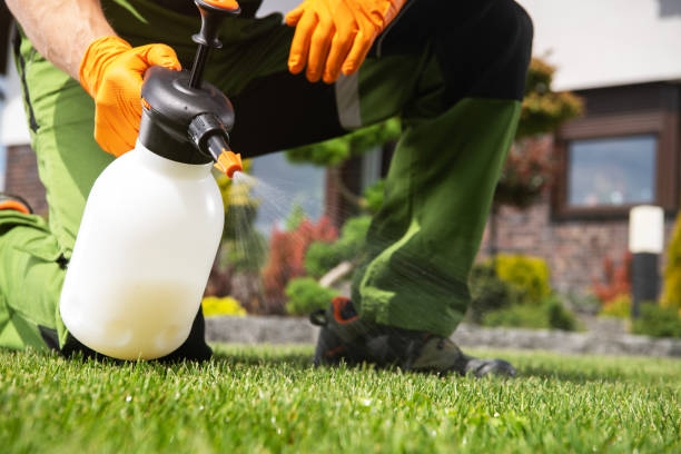 Best Affordable Pest Control Services  in White Oak, MD