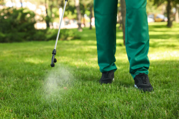 Best Wasp Removal Services  in White Oak, MD