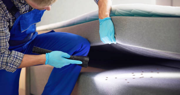 Best Affordable Pest Control Services  in White Oak, MD