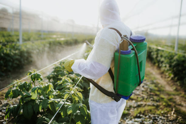 Best Commercial Pest Control Services  in White Oak, MD